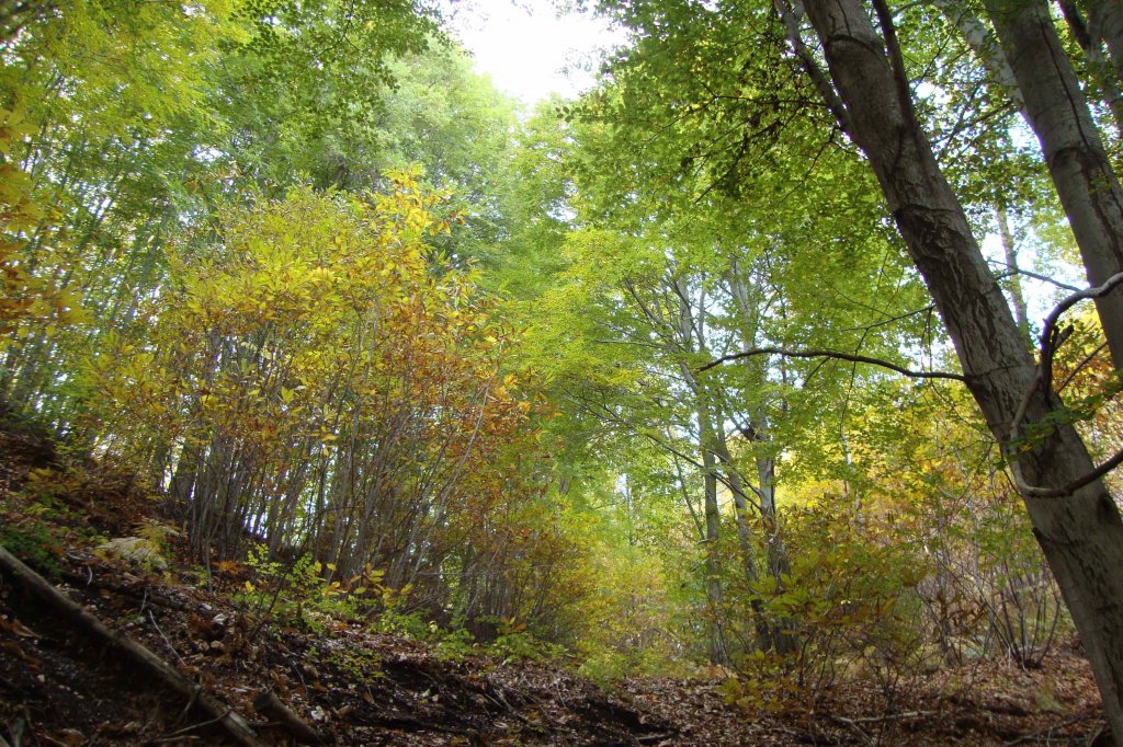 etna park natuur sicilie natuurgebieden